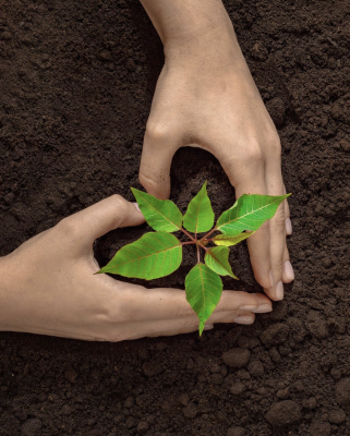 FREE Plantable Seed Paper Heart